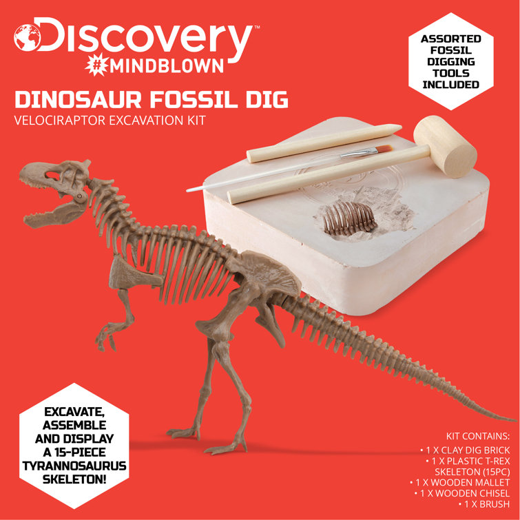 Discovery MINDBLOWN Toy Dinosaur Excavation Kit Skeleton 3D Puzzle T